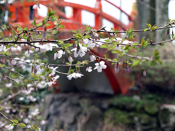 http://www.at-roadside.com/drive/img/120424hakone_10.jpg