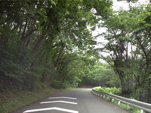 http://www.at-roadside.com/drive/img/minoyamakouen_02.jpg