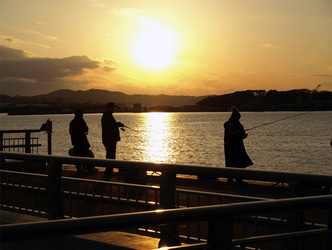 道の駅と館山夕日桟橋