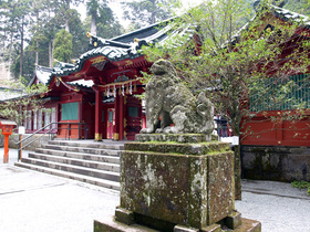 箱根神社の狛犬