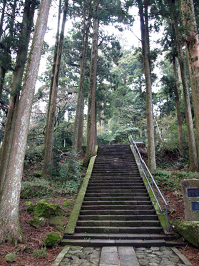 箱根神社の階段