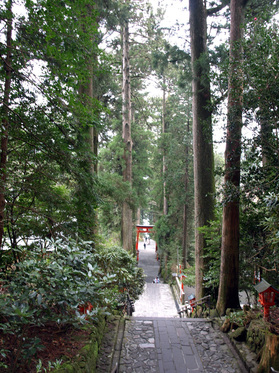 箱根神社の階段の上から見下ろす