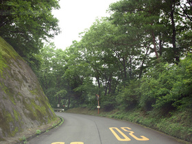 美の山公園に向かう山道