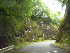 帰り道