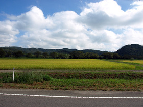 田園風景の県道37号白河羽鳥線(レイクライン)