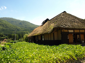 茅葺の建物