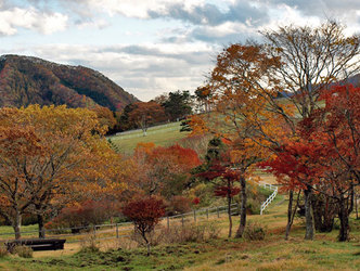 紅葉の日光霧降高原