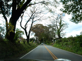 日光杉並木街道