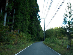 栃木県道245号線