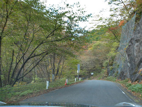 秋の県道245号線