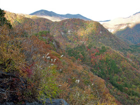 紅葉風景