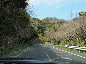 鋸山駐車場に向かう山道