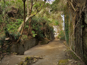 金谷下山口付近の通路