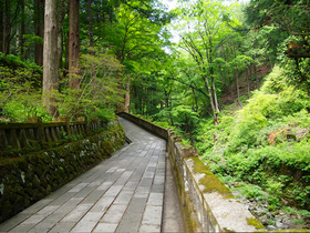 静寂の参道