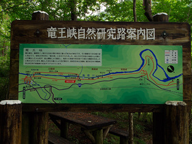 龍王峡自然研究路案内図