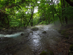 勢いよく流れる川