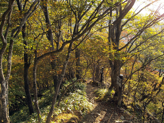 険しい半月峠歩道