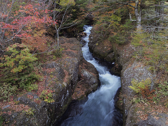 竜頭の橋から上流側