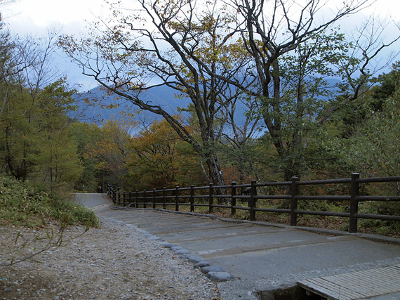 散策路から中禅寺湖