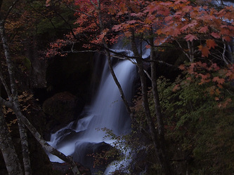 紅葉の竜頭ノ滝