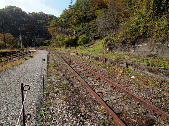 廃線のレールに沿った遊歩道