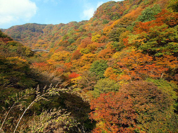 めがね橋の上から山側の眺望