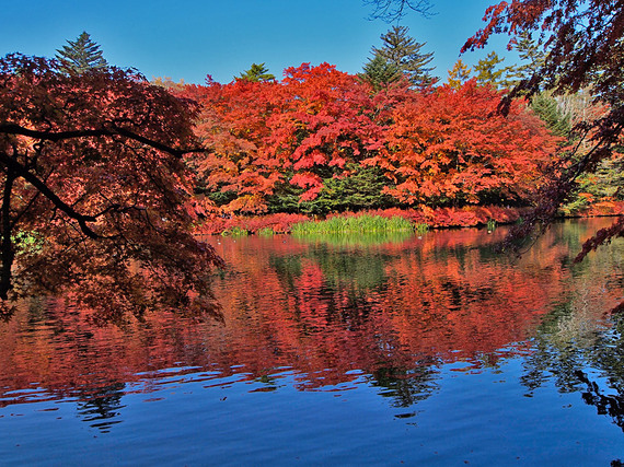 鮮やかな紅葉の雲場池