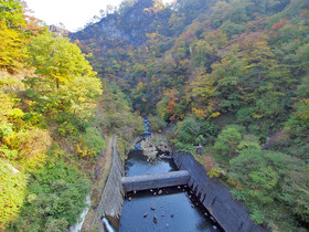 橋から山側の眺め