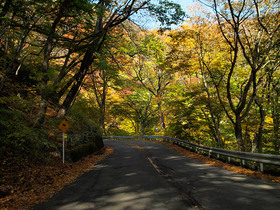 木漏れ日と紅葉につつまれた碓氷峠