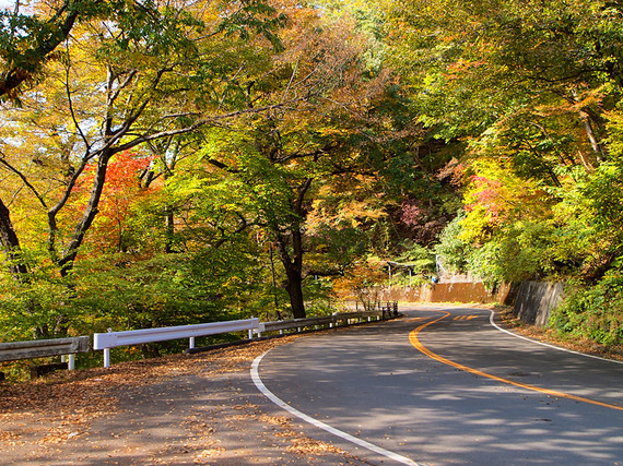 碓氷峠の待避所からの紅葉