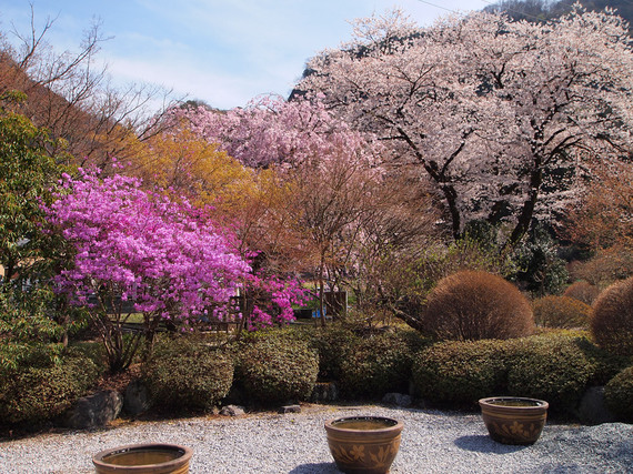 札所29番　長泉院