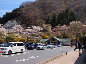 道の駅 果樹公園あしがくぼ