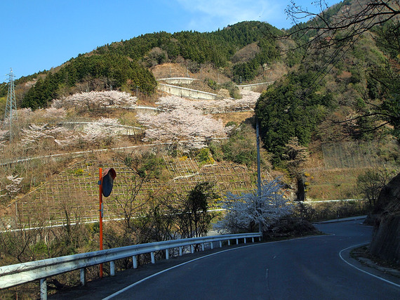 浦山ダムに続くクネクネ道