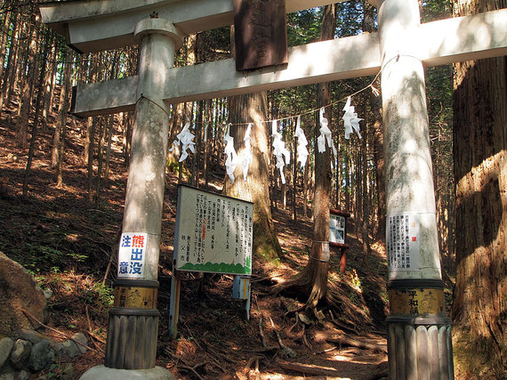 登山道入り口の鳥居