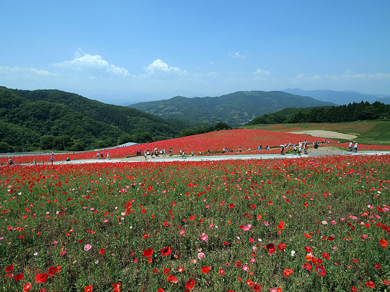 会場全景