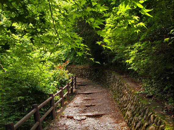 払沢の滝 遊歩道