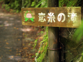 恋糸の滝地点