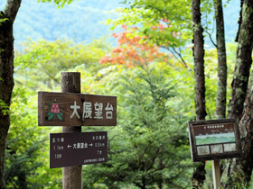 大展望台の標識