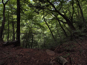 大滝の横の山頂付近