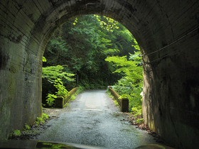 しっとりしたトンネル