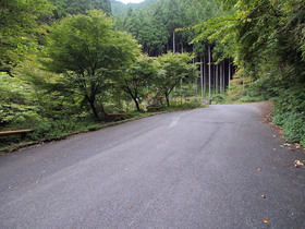 ベンチが現れると細倉橋