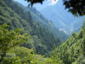 山の中腹から下界の風景