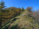 社山山頂へ向かう歩道1