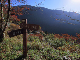 鷹ノ巣山登山口(奥集落)