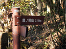 鷹ノ巣山まで3.8Km