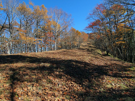 鷹ノ巣山避難小屋から鷹ノ巣山山頂方面の登山道