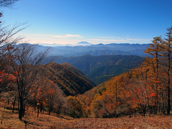 鷹ノ巣山山頂手前の石尾根からの眺望