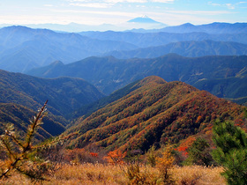 紅葉と富士山