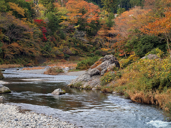 朝の御岳渓谷