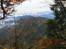 大岳山 山頂手前の山道より